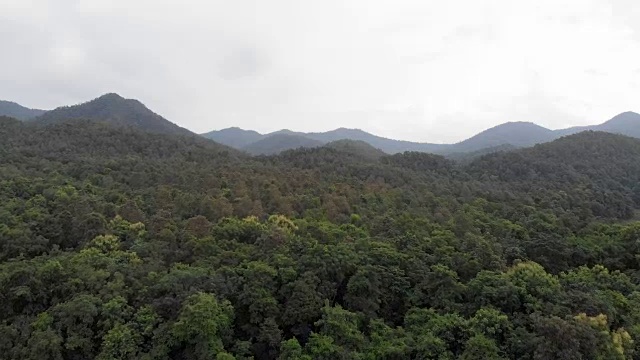 4 k鸟瞰图。接下来是雨季的绿色森林和湖泊视频素材