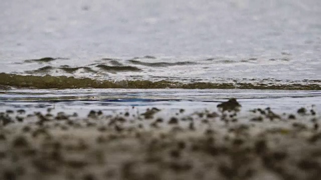 4 k:海滩视频素材