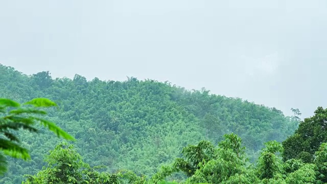 绿色自然视图的雾在早上在山上滚动，时间流逝视频视频素材