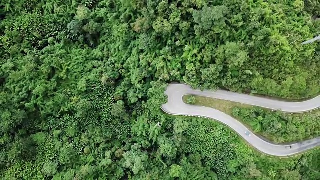 鸟瞰图蜿蜒的道路在森林和汽车驾驶，安全驾驶的概念视频素材