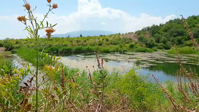 在阳光明媚的夏日山上的小湖视频素材