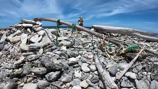 在博内尔岛浮木视频素材