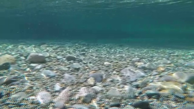 水下河床清澈的水河流岩石视频素材