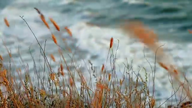 海岸日落，在亚速海的真实时间在多风的傍晚沙丘视频素材