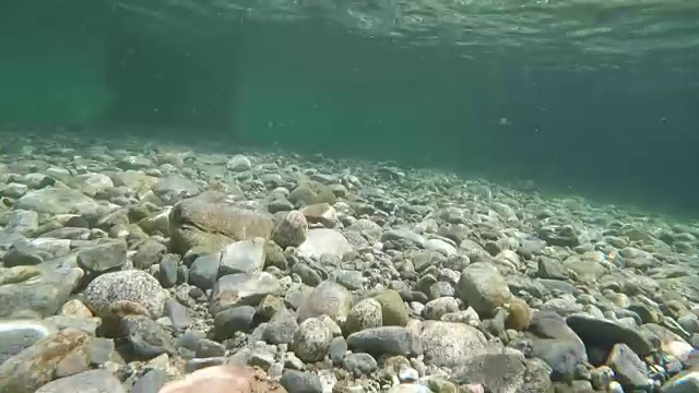 水下河床清澈的水河流岩石视频素材