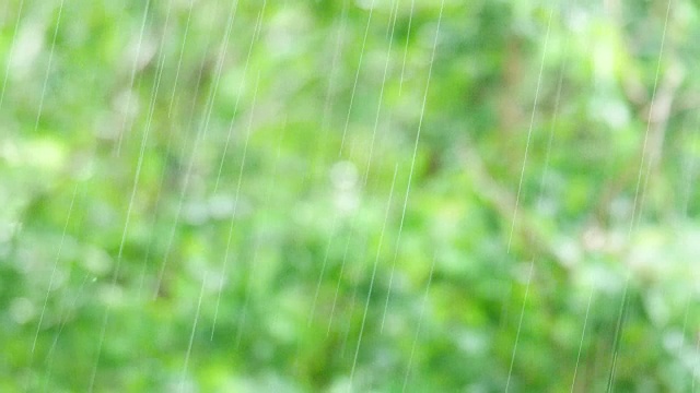 绿色散景在雨季随雨天移动视频素材