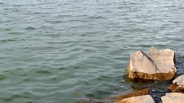 大海，海浪和岩石视频素材