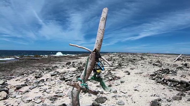 在博内尔岛浮木视频素材