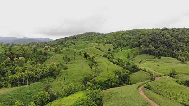 乡村景观，背景是等待收割的玉米田，无人机俯视图航拍照片。视频素材