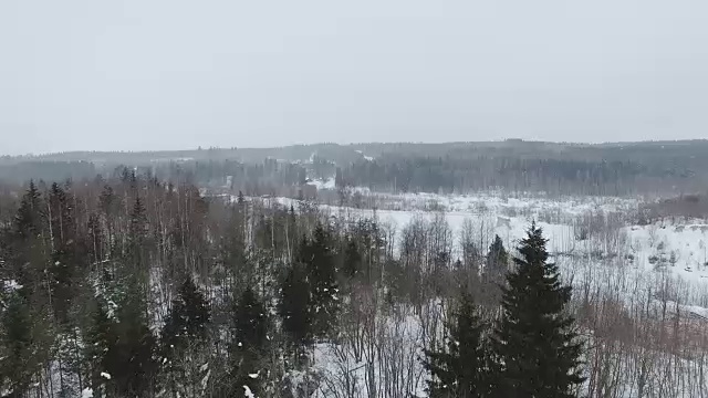 在阴天里，低低地飞过一片长满灌木和冷杉的白雪覆盖的空地。视频素材