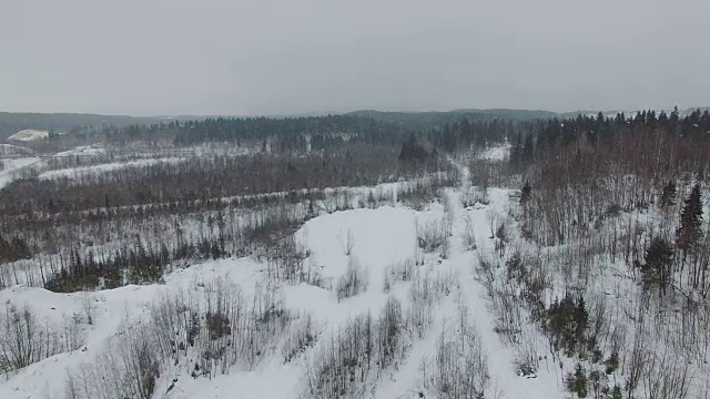 在阴天降雪的冬季森林景观上空飞行。视频素材