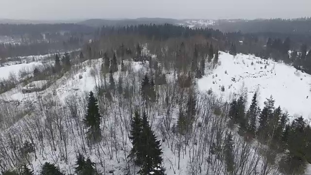 在阴天降雪的冬季森林景观上空飞行。视频素材