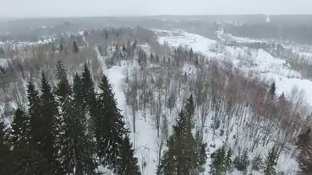 在阴天降雪的冬季森林景观上空飞行。视频素材