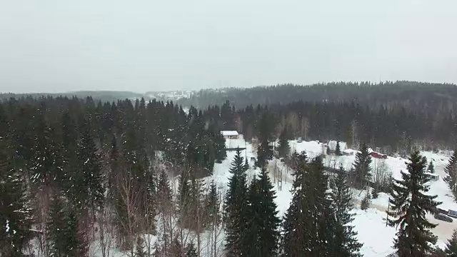 在阴天里，低空飞过一片覆盖着灌木和冷杉的白雪皑皑的空地。视频素材