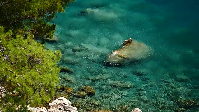 松树与蓝色的海洋背景土耳其视频素材