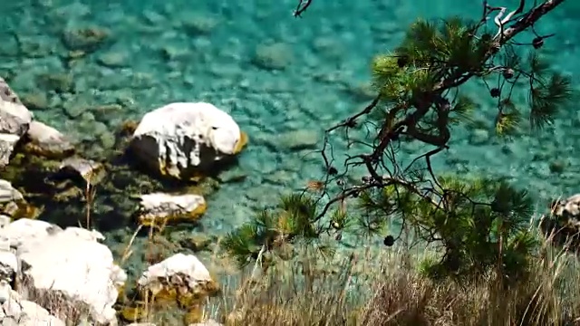 松树与蓝色的海洋背景土耳其视频素材