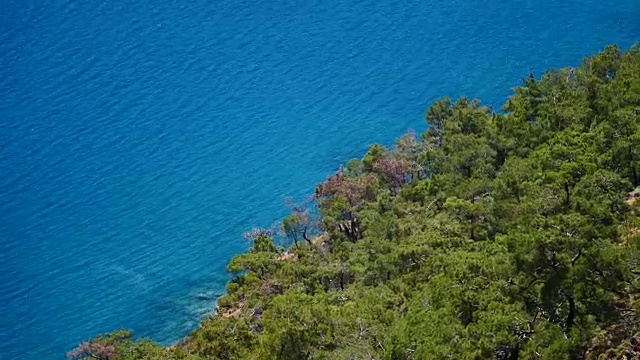 松树与蓝海拉古纳土耳其背景视频素材