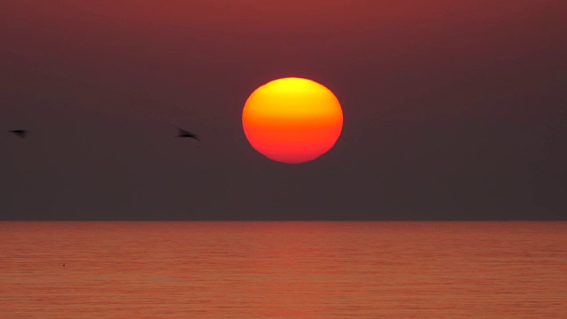 海上日落视频素材