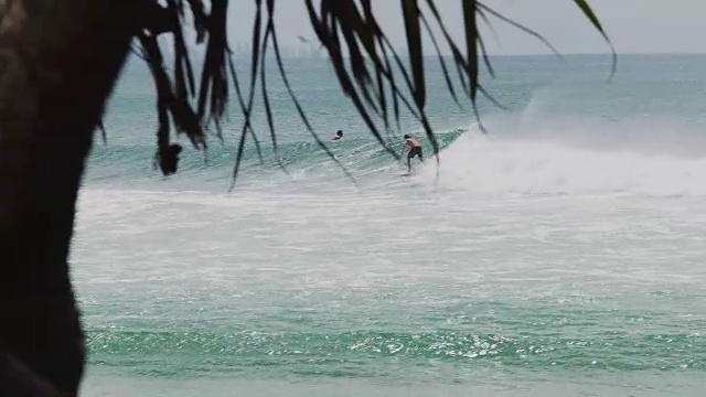 一群冲浪者在彩虹湾冲浪视频素材