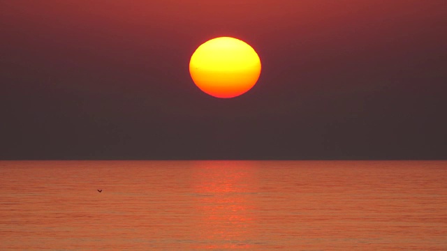 海上日落视频素材