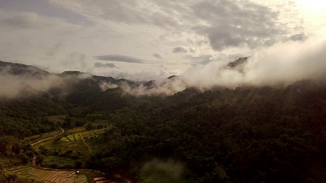 鸟瞰郁郁葱葱的绿色雨林山视频素材