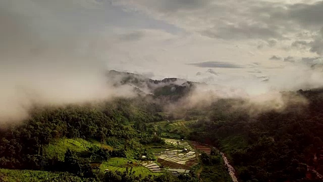 鸟瞰郁郁葱葱的绿色雨林山视频素材