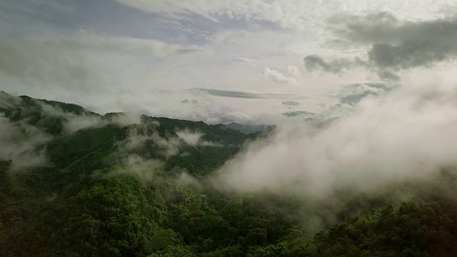 鸟瞰郁郁葱葱的绿色雨林山视频素材