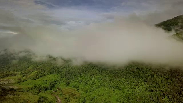 鸟瞰郁郁葱葱的绿色雨林山视频素材