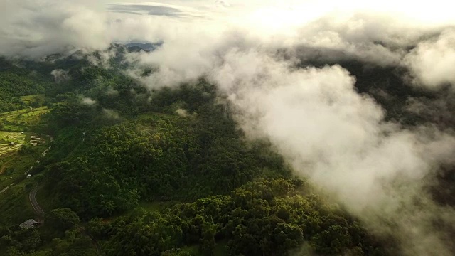 鸟瞰郁郁葱葱的绿色雨林山视频素材