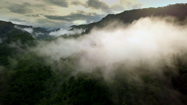 鸟瞰郁郁葱葱的绿色雨林山视频素材