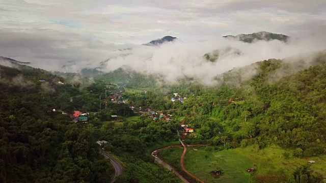 鸟瞰郁郁葱葱的绿色雨林山视频素材