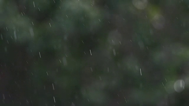 天气预报说今天有大雨视频素材