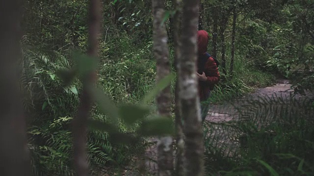 独自背包客探索热带雨林视频素材