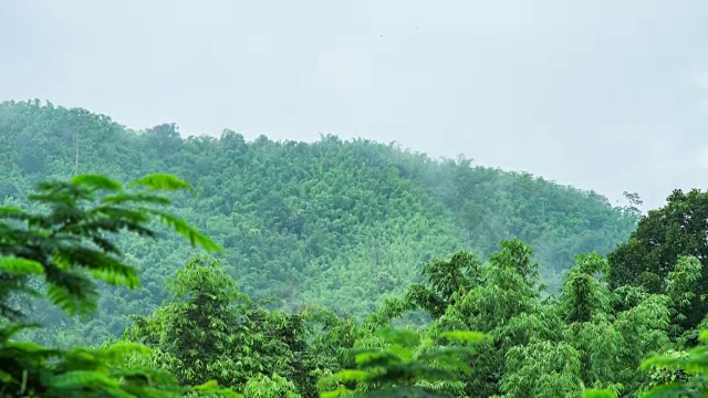 雾在早上在雨林山脉上滚动，时间流逝视频视频素材