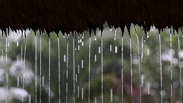 热带夏雨滴落在花园的稻草屋顶上。印尼巴厘岛视频素材