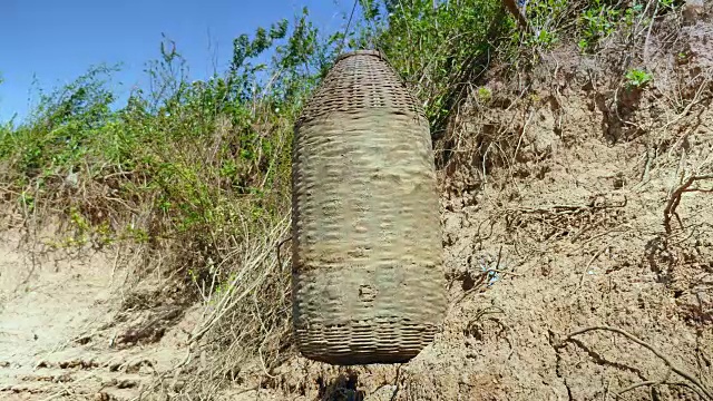 在刮风的日子里，用竹竿在河岸上用来钓鱼的竹条制成的圆柱形捕鱼器视频素材