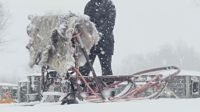 鹿皮挂在雪橇上视频素材