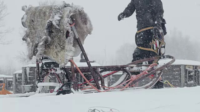 LS挪威狗雪橇小屋视频素材