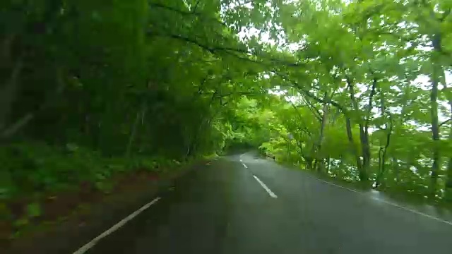 雨中穿过森林的路视频素材