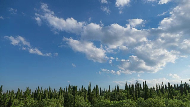 晴朗的夏日，白云绿柏，时光流逝视频素材