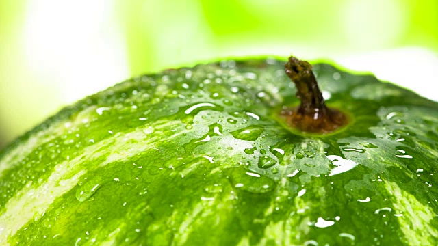 雨滴集中落在西瓜上视频素材