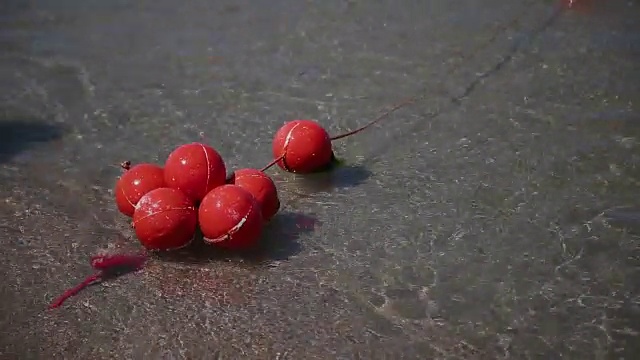 斯洛文尼亚皮兰镇附近亚得里亚海沿岸海水中的浮标视频素材