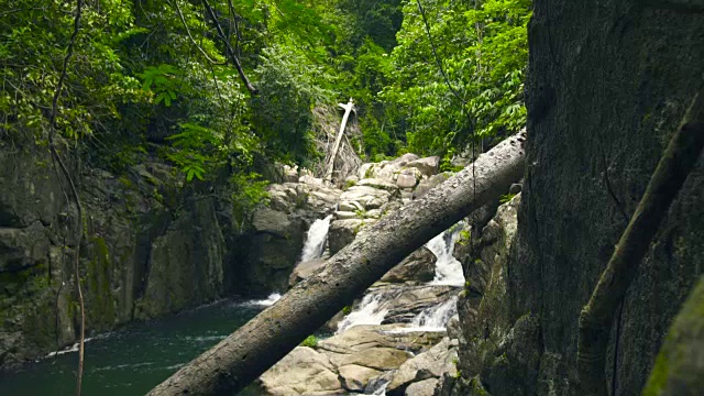 翠绿的丛林和高山瀑布景观。热带森林中的瀑布、瀑布和绿色植物视频素材