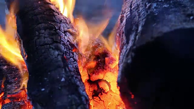 近景篝火燃烧愉快视频下载