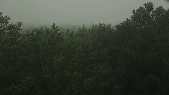 大雨和大风使树木摇晃。飓风。视频素材