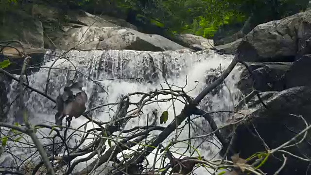 瀑布瀑布在山上流动。从瀑布中流淌的水在山河中的巨石上视频素材