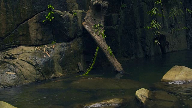 热带森林中的岩石河。雨林中山河中的巨石。野生自然景观视频素材