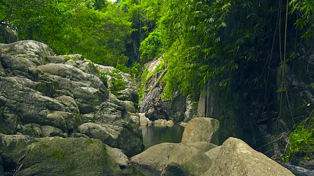 热带森林中的山区河流。大石头在河在山森林。野生自然景观视频素材