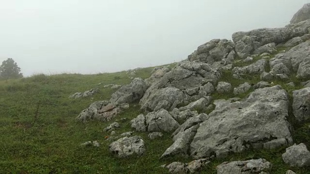 高山上的大雾天，摄像机镜头，没有人视频素材