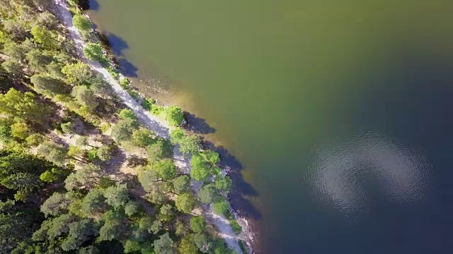 飞越挪威森林视频素材